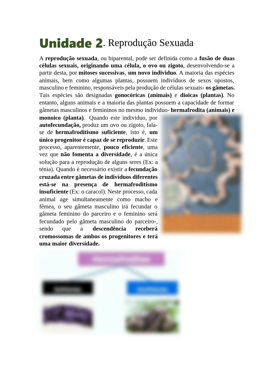 Reprodução Sexuada.pdf_d5iolzwjn84_page1