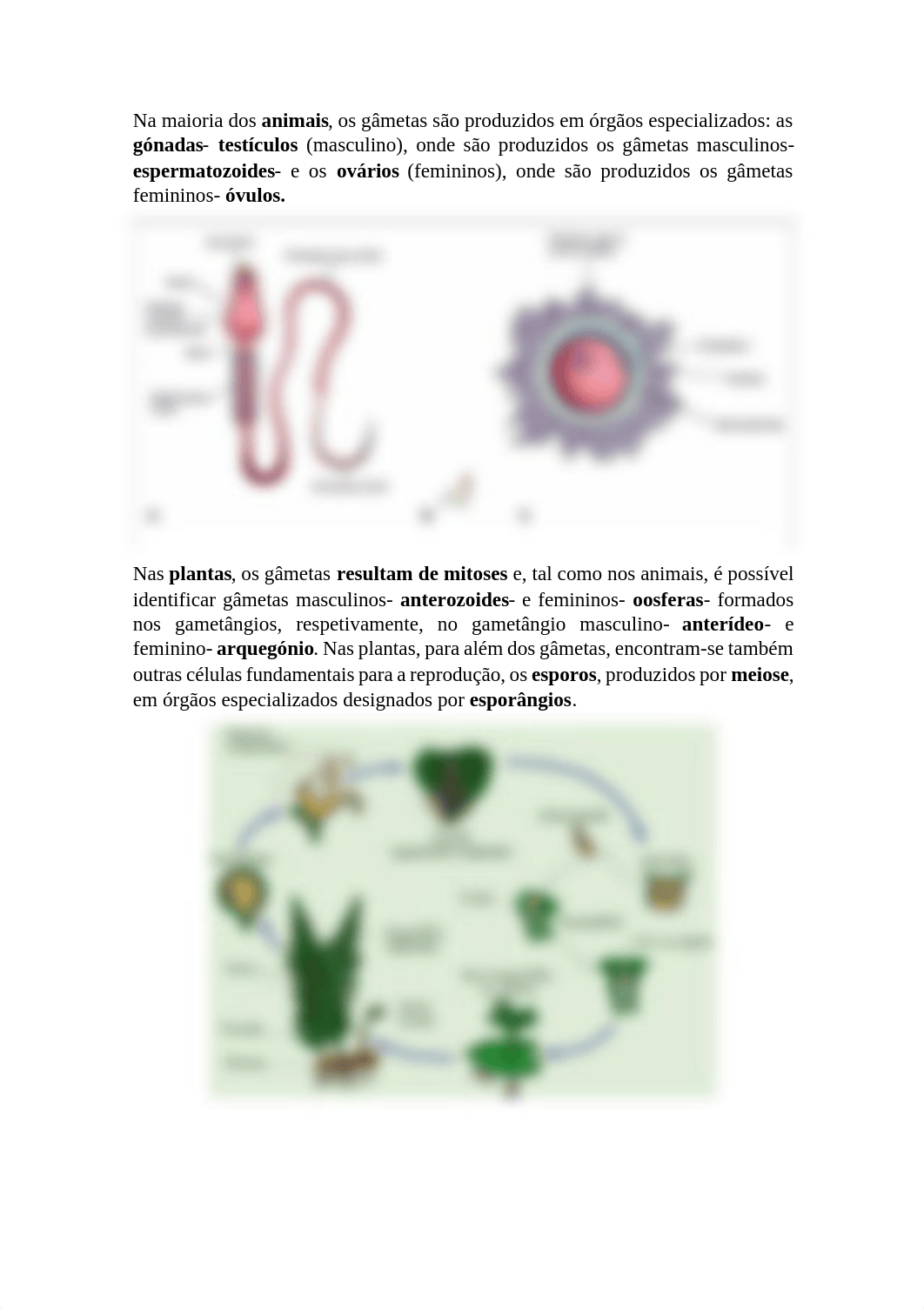 Reprodução Sexuada.pdf_d5iolzwjn84_page2