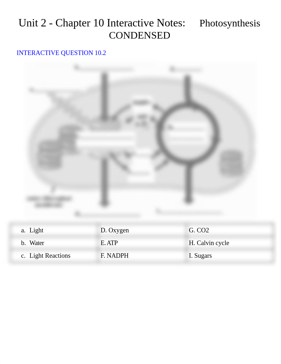 Copy of Unit 2 - Chapter 10 Interactive Notes_ Photosynthesis CONDENSED.pdf_d5iozio6j1g_page1