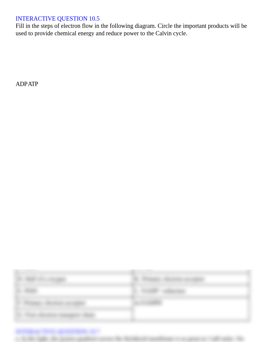 Copy of Unit 2 - Chapter 10 Interactive Notes_ Photosynthesis CONDENSED.pdf_d5iozio6j1g_page2