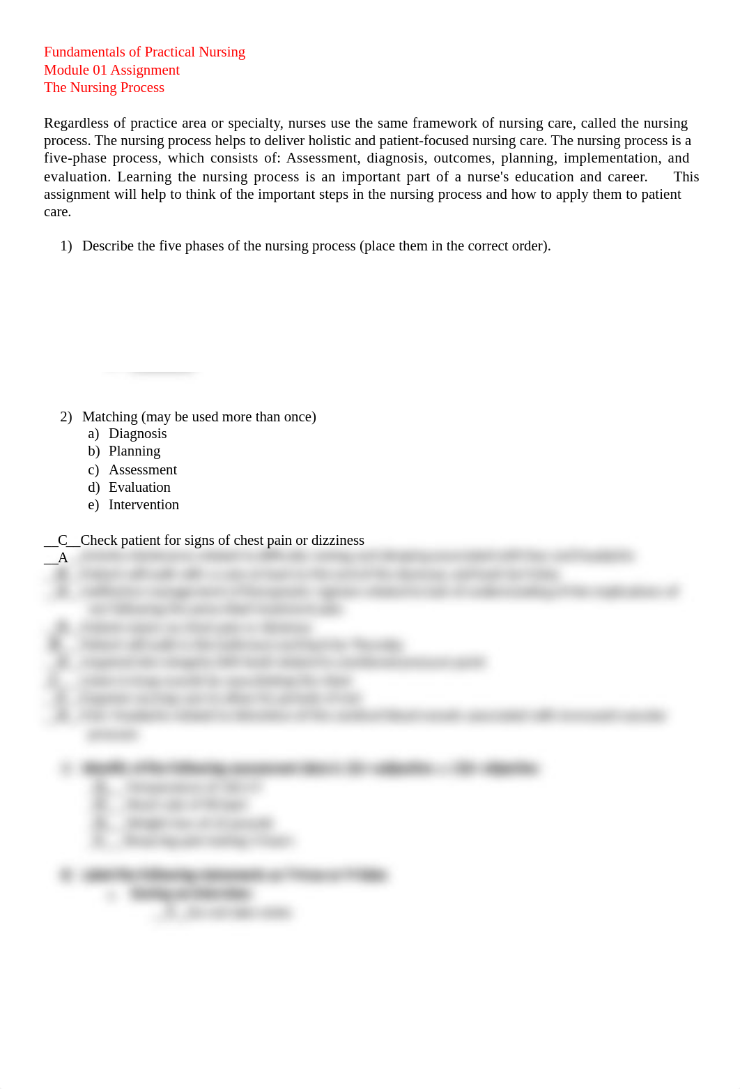 Ndorman_nursingprocess_010419.docx_d5ixbgcdahi_page1