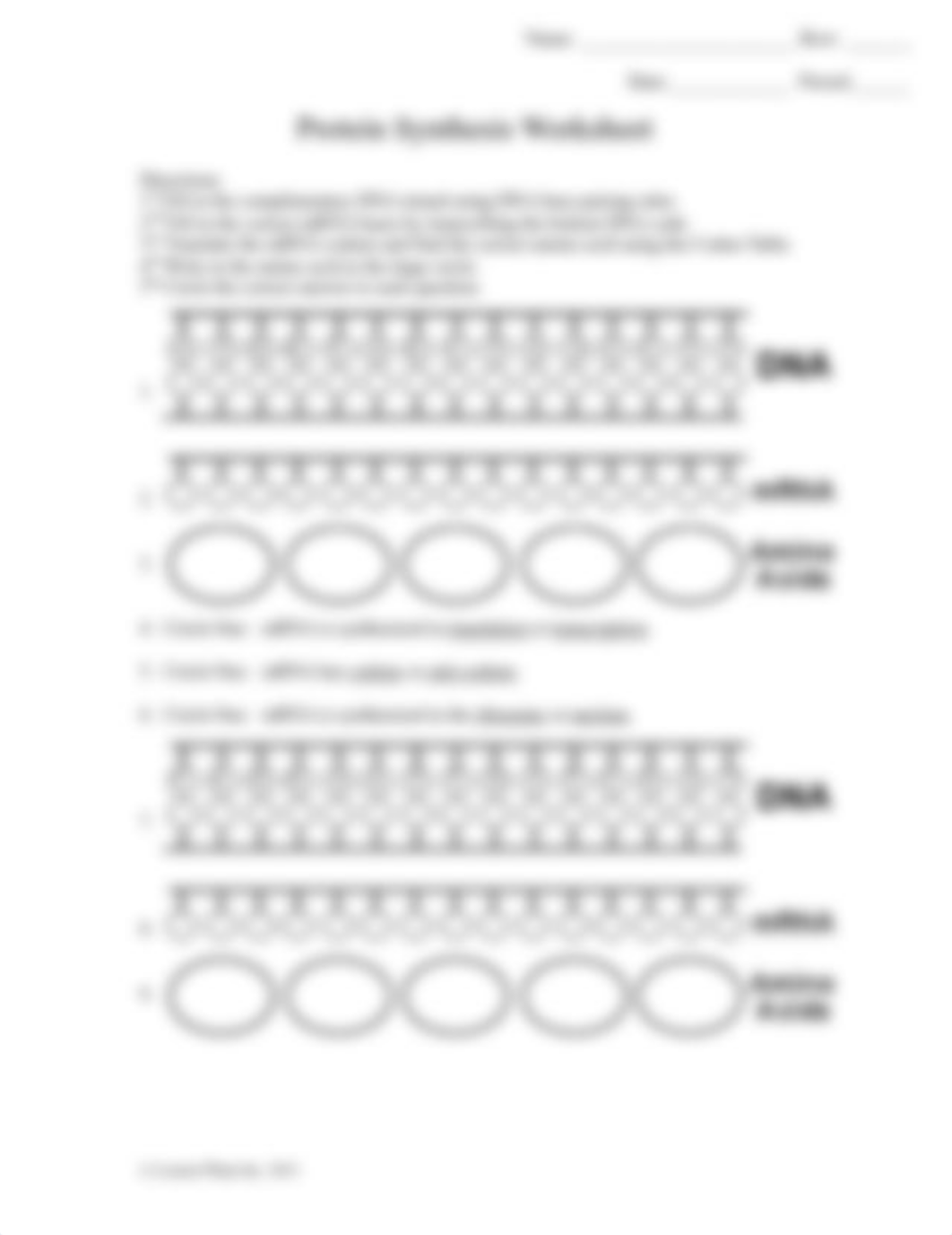 protein_synthesis_ws_d5iybxewkqk_page2