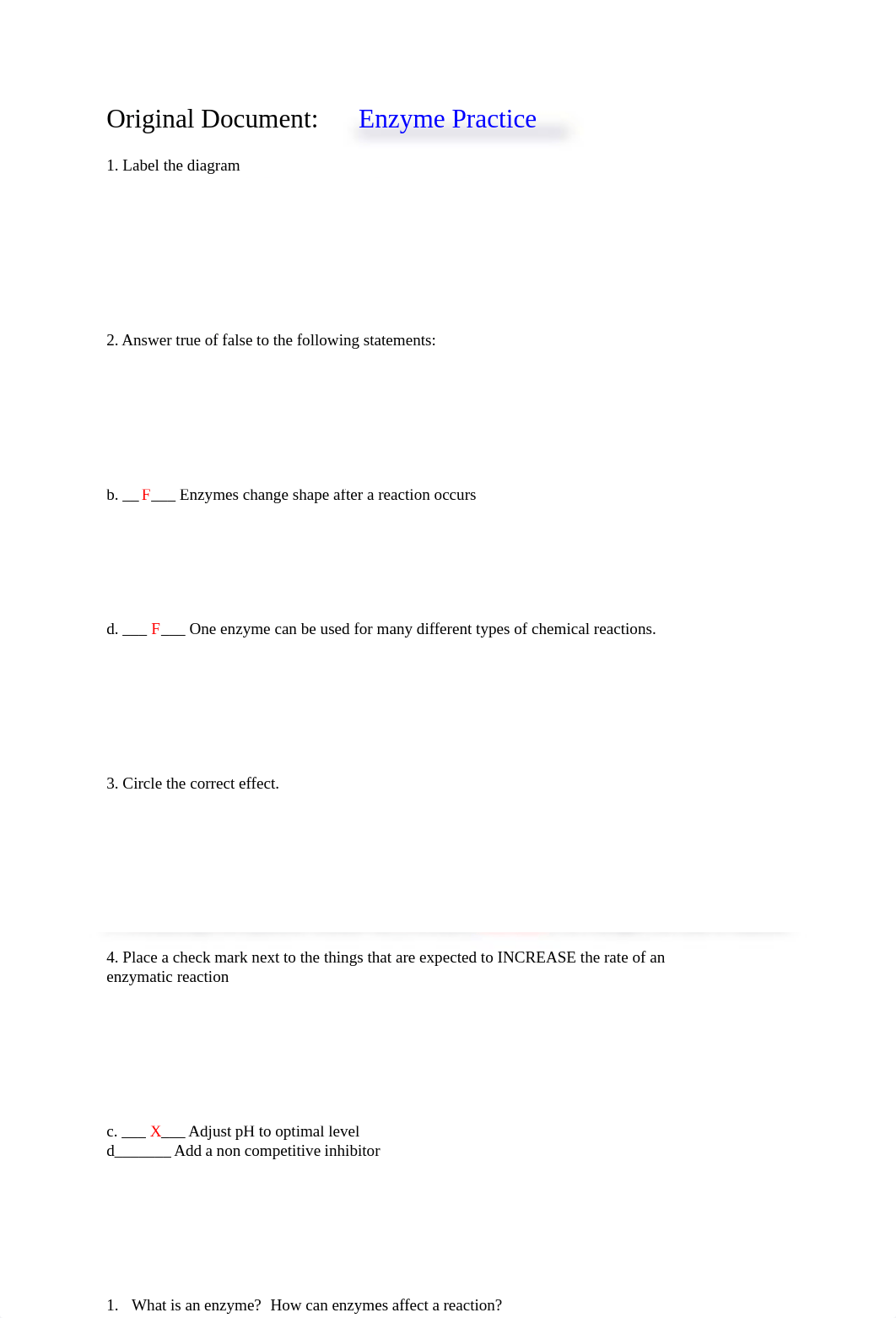 Assignment 4 Enzyme  Answer Key.doc_d5iyhvb7o53_page1