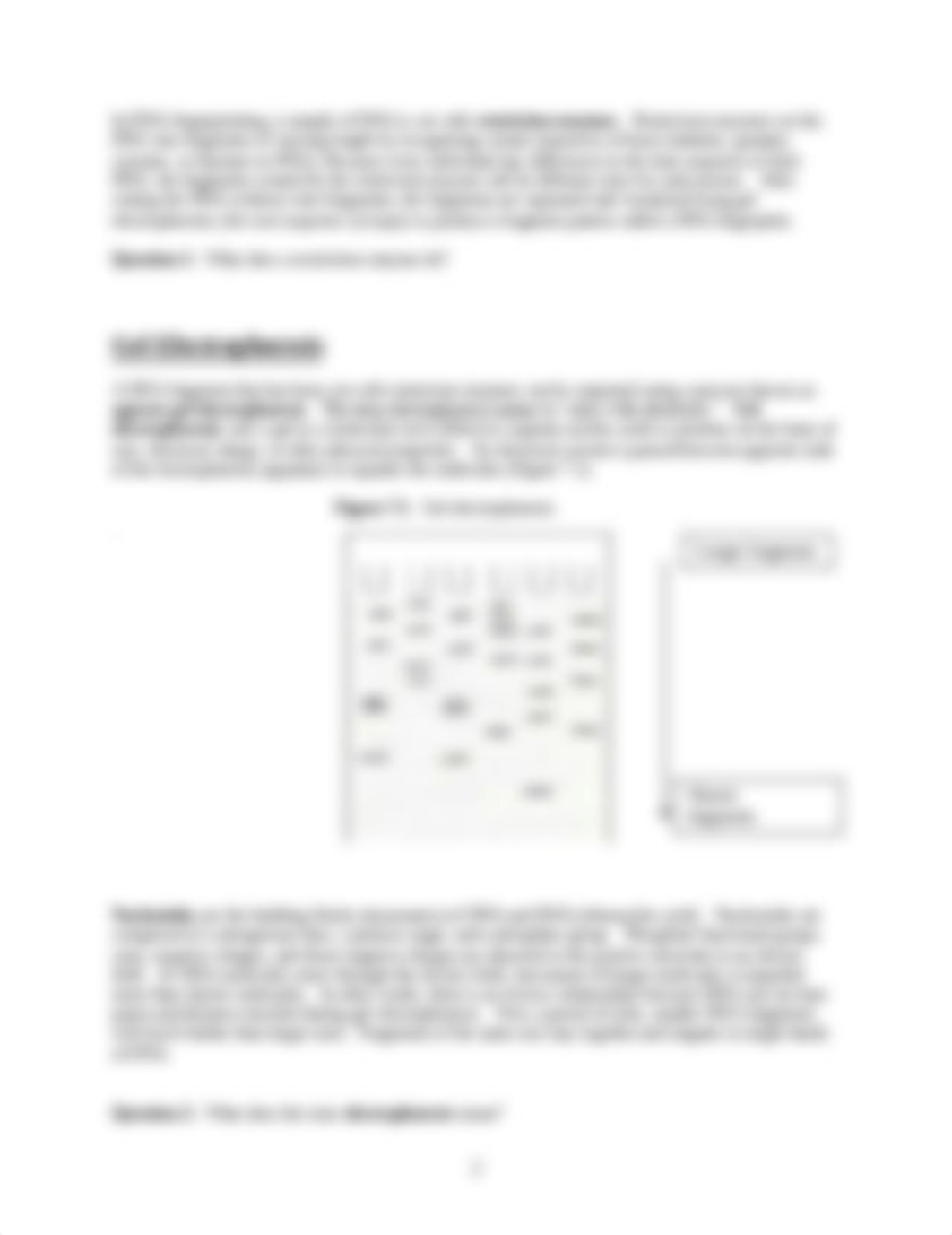 Lab #7 Molecular Biology RevFA16.pdf_d5j1qlo6g1b_page2