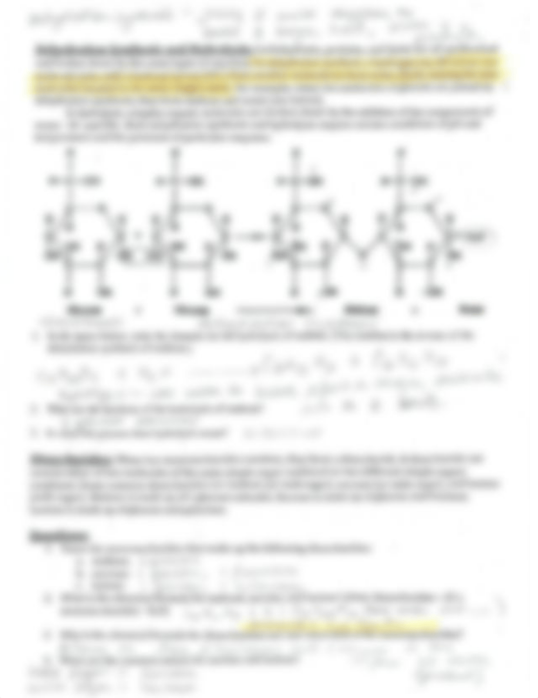 POGIL+Macromolecule+Key_d5j4og643qj_page2