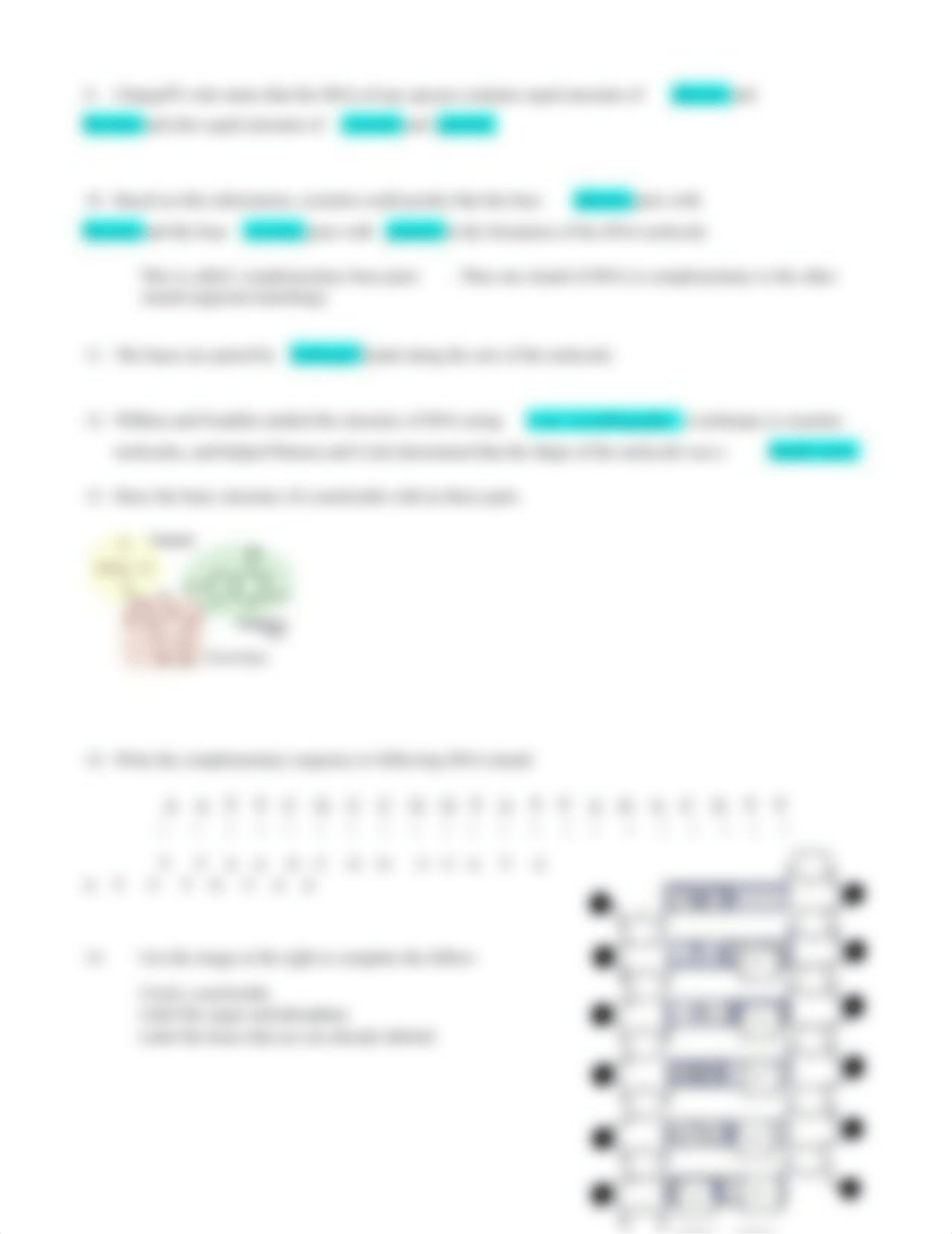 Alivia Najor - DNA Structure Worksheet - 1539875.docx_d5j4pjar6cb_page2