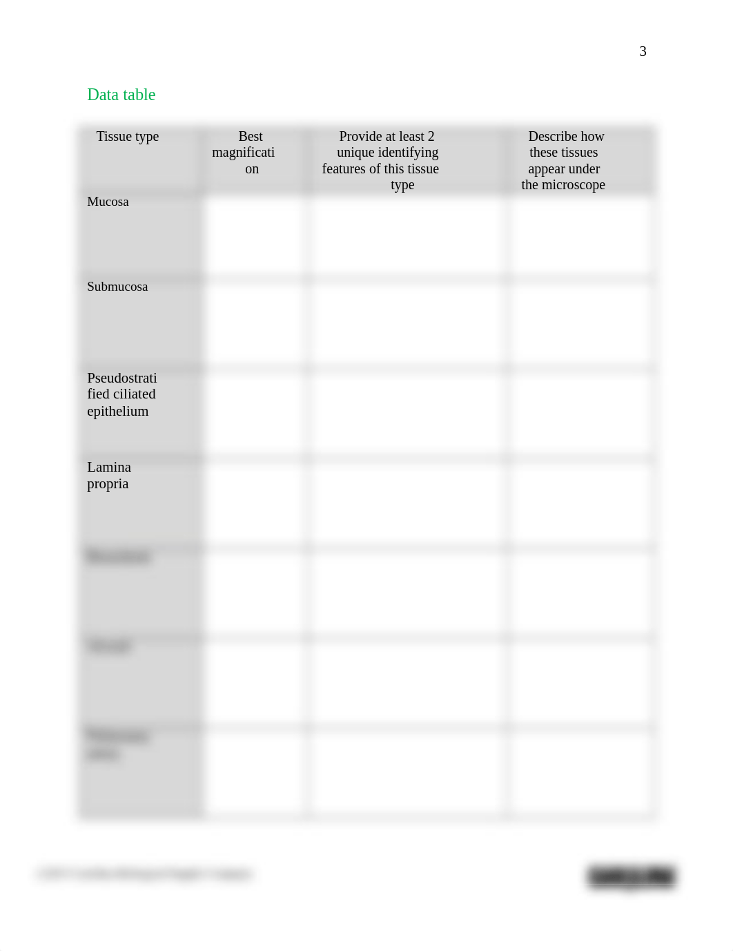 Introduction to Histology_Respiratory system answer sheet.docx_d5j56qfb1d7_page3