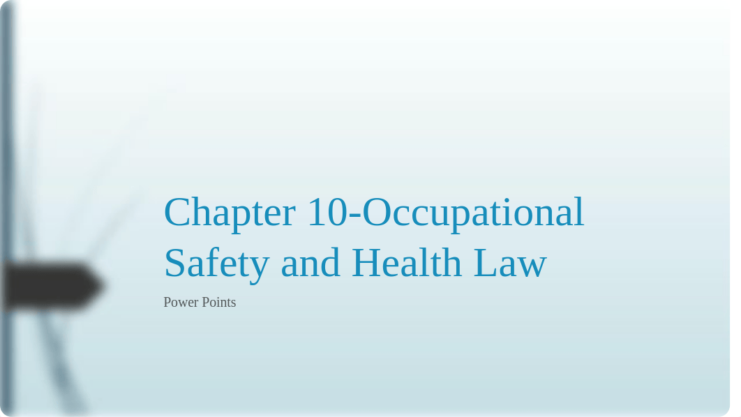 Chapter 11-Occupational Safety and Health Law Power Points.pptx_d5j67vepavy_page1