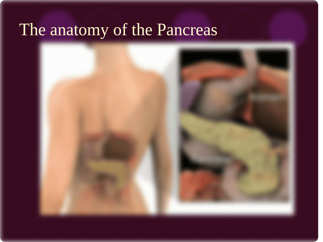 Pancreatic Cancer Class_d5jgqm56hht_page3