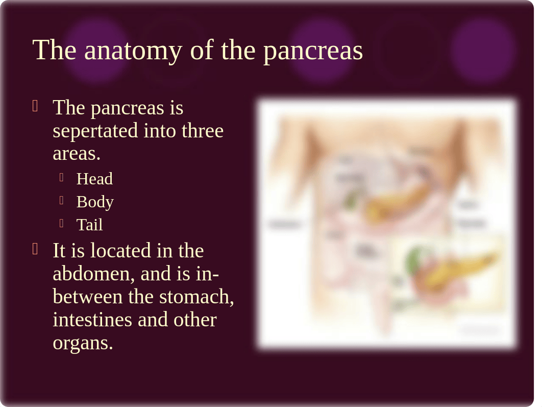 Pancreatic Cancer Class_d5jgqm56hht_page2