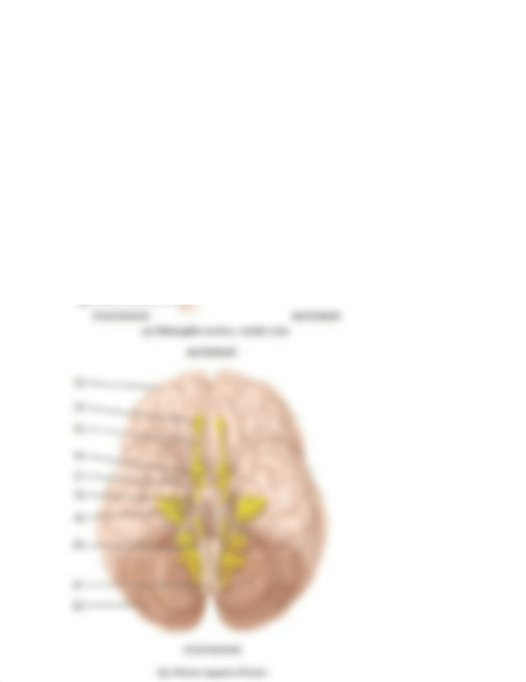 LAB20(1).pdf_d5jhgyhw84x_page2