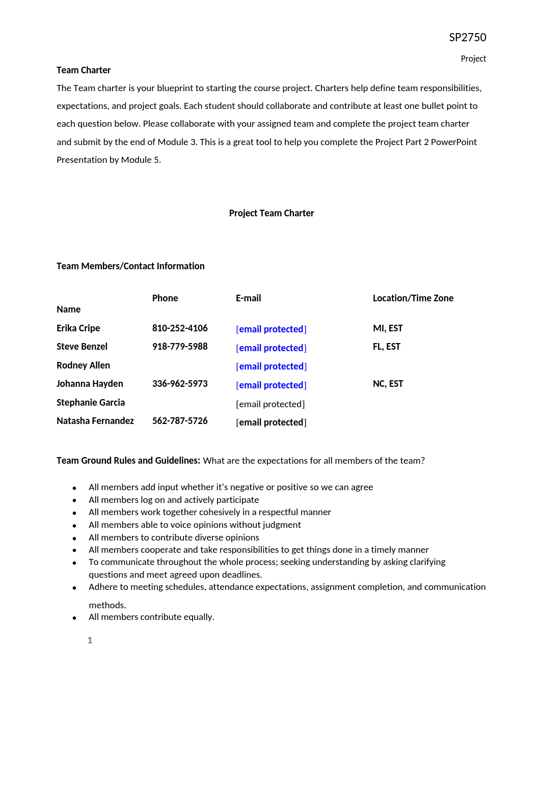 Team Charter Final_d5jnulx1qcd_page1