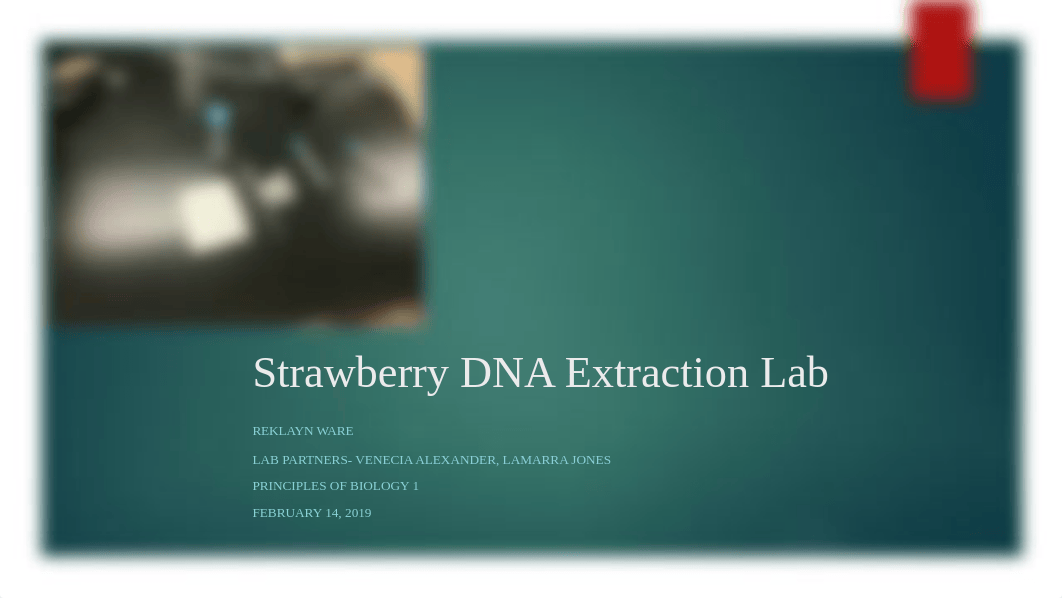 Strawberry DNA Extraction.pptx_d5k25gd9vkp_page1