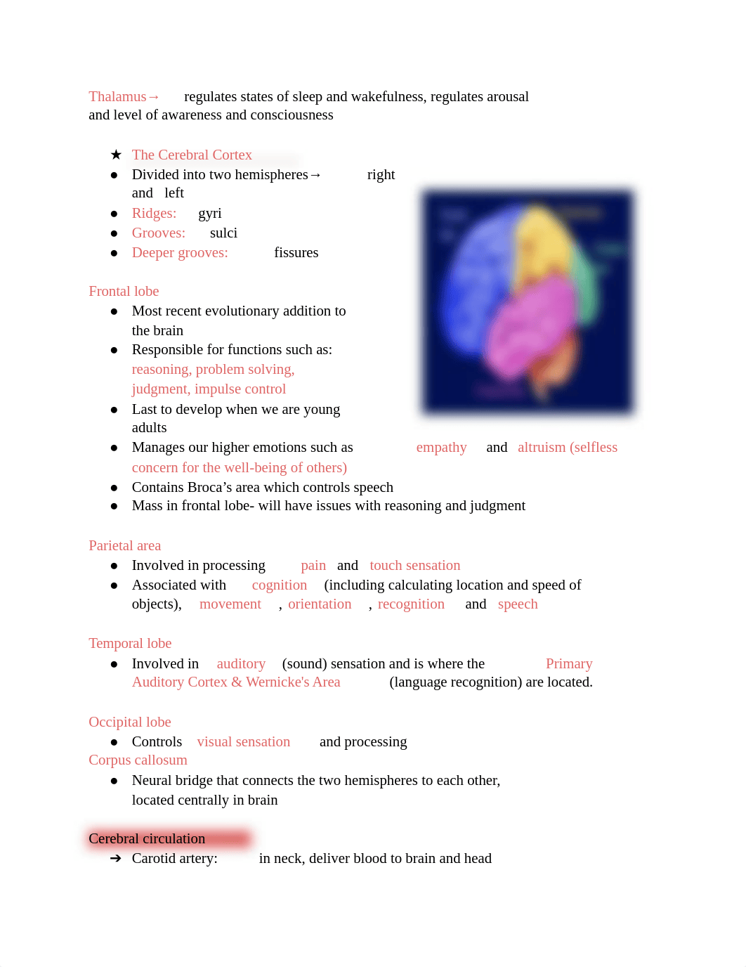 med surg_ Test 2 .docx_d5k5f7y50au_page2