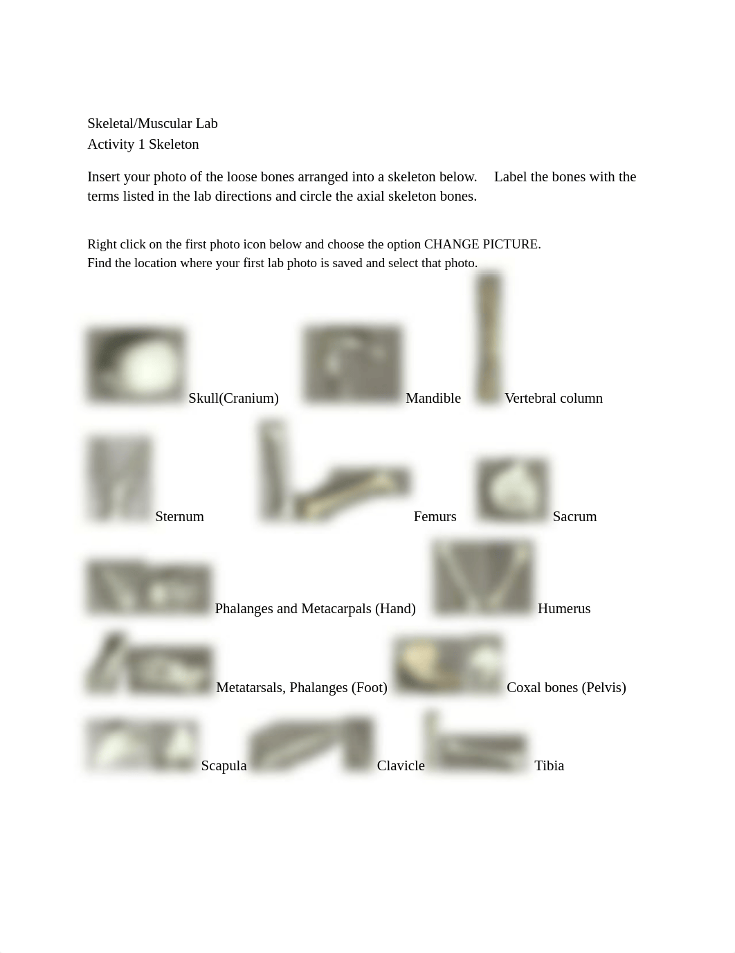 Skeletal Muscular Lab Data Sheet and Review Questions.docx_d5kej36h6v0_page1