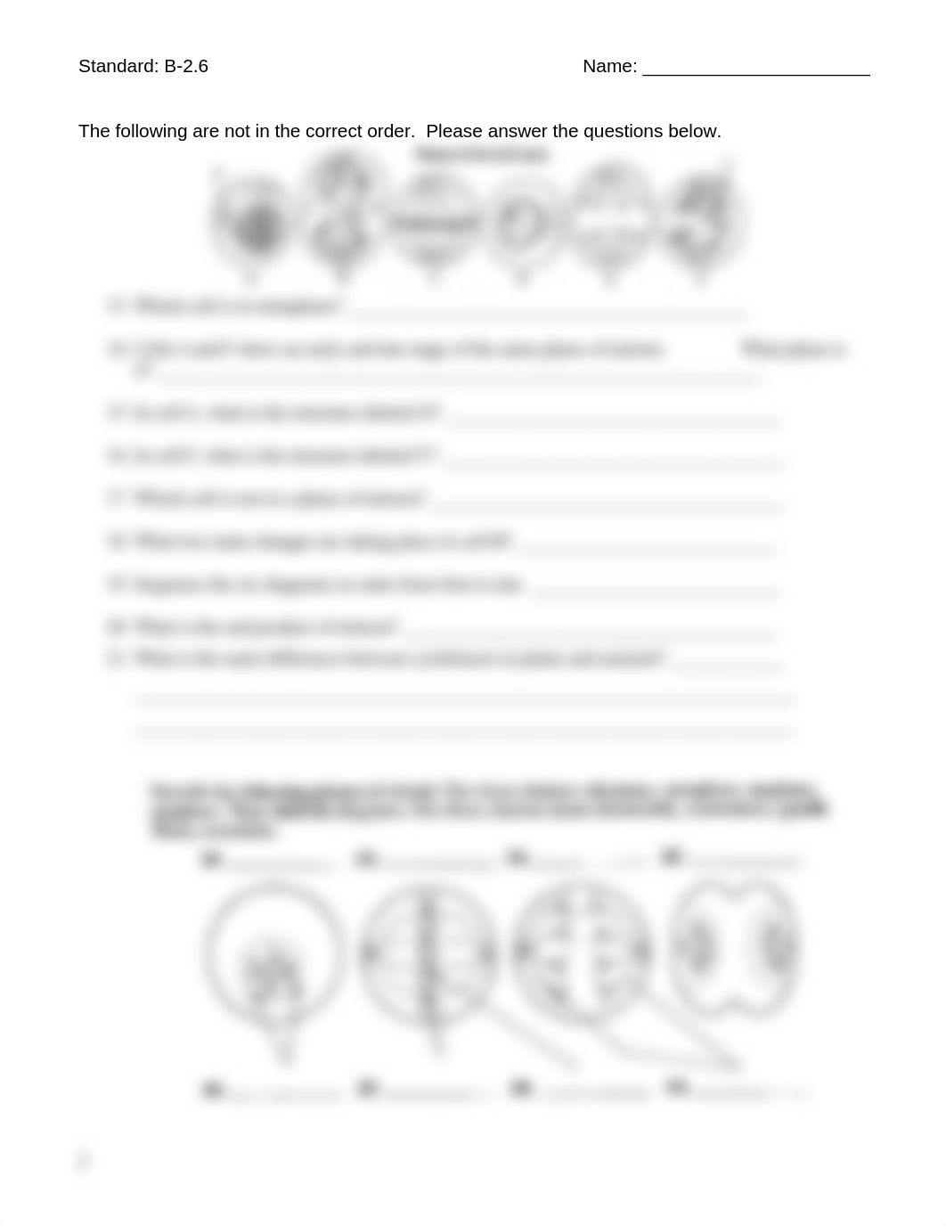 mitosis_worksheet_d5kgibv4h0u_page2