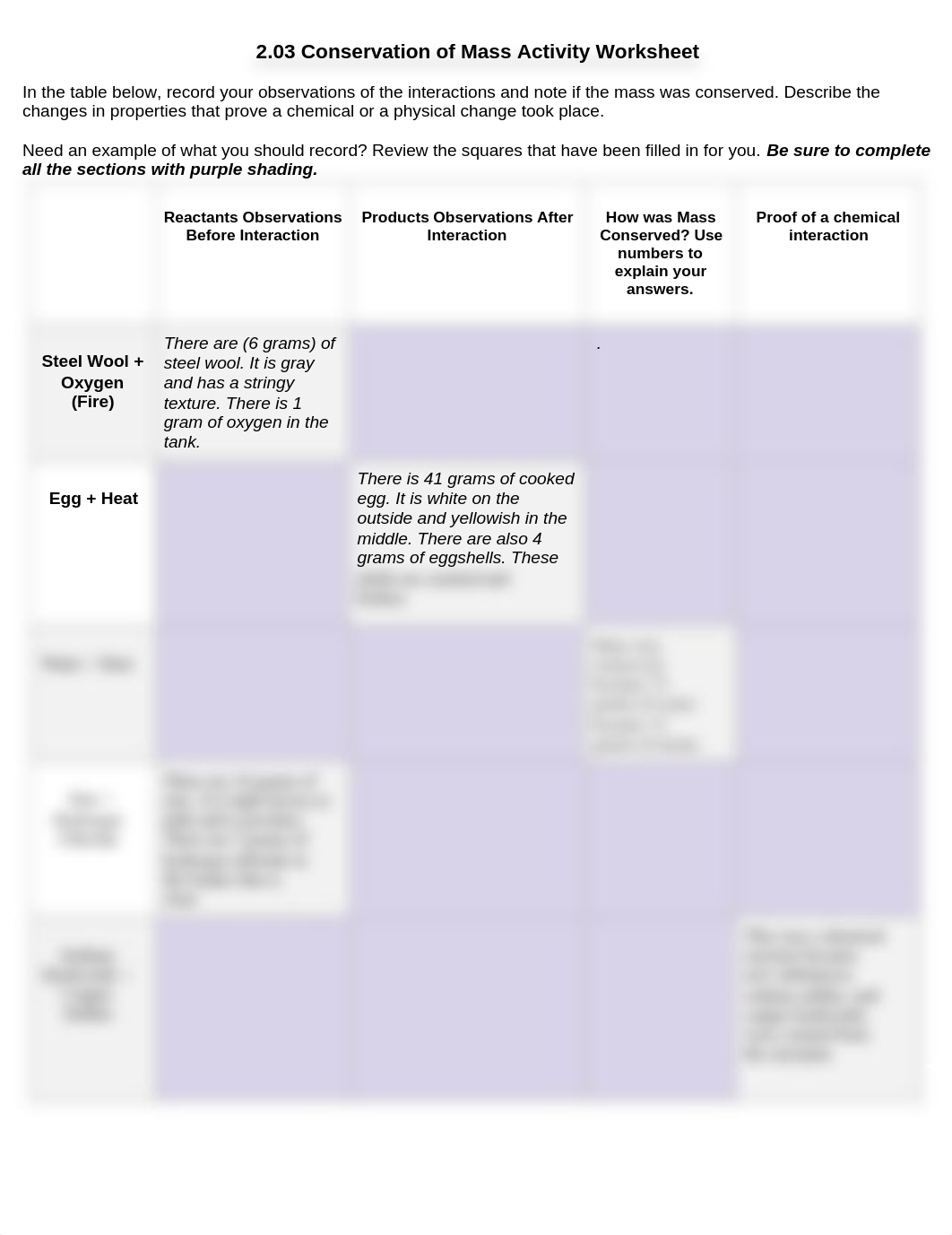 Copy of 2.03 Conservation of Mass Activity Worksheet.docx_d5khmj00zmt_page1