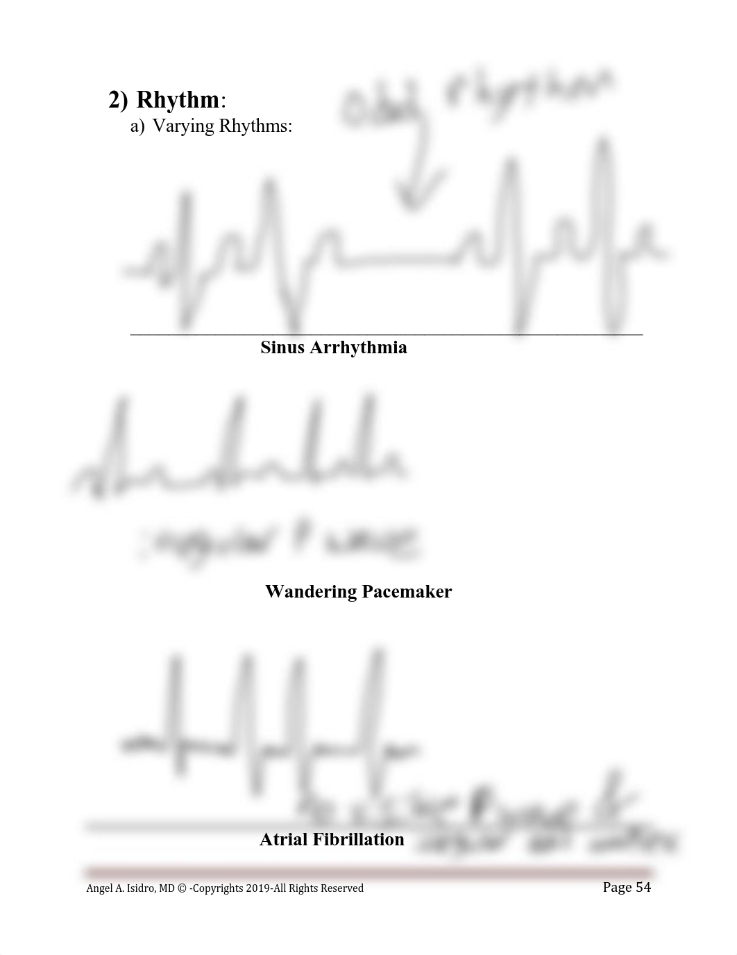 Cardiovascular_Physiology_MSMS_Handout-2019.pdf_d5kkq10uptr_page2