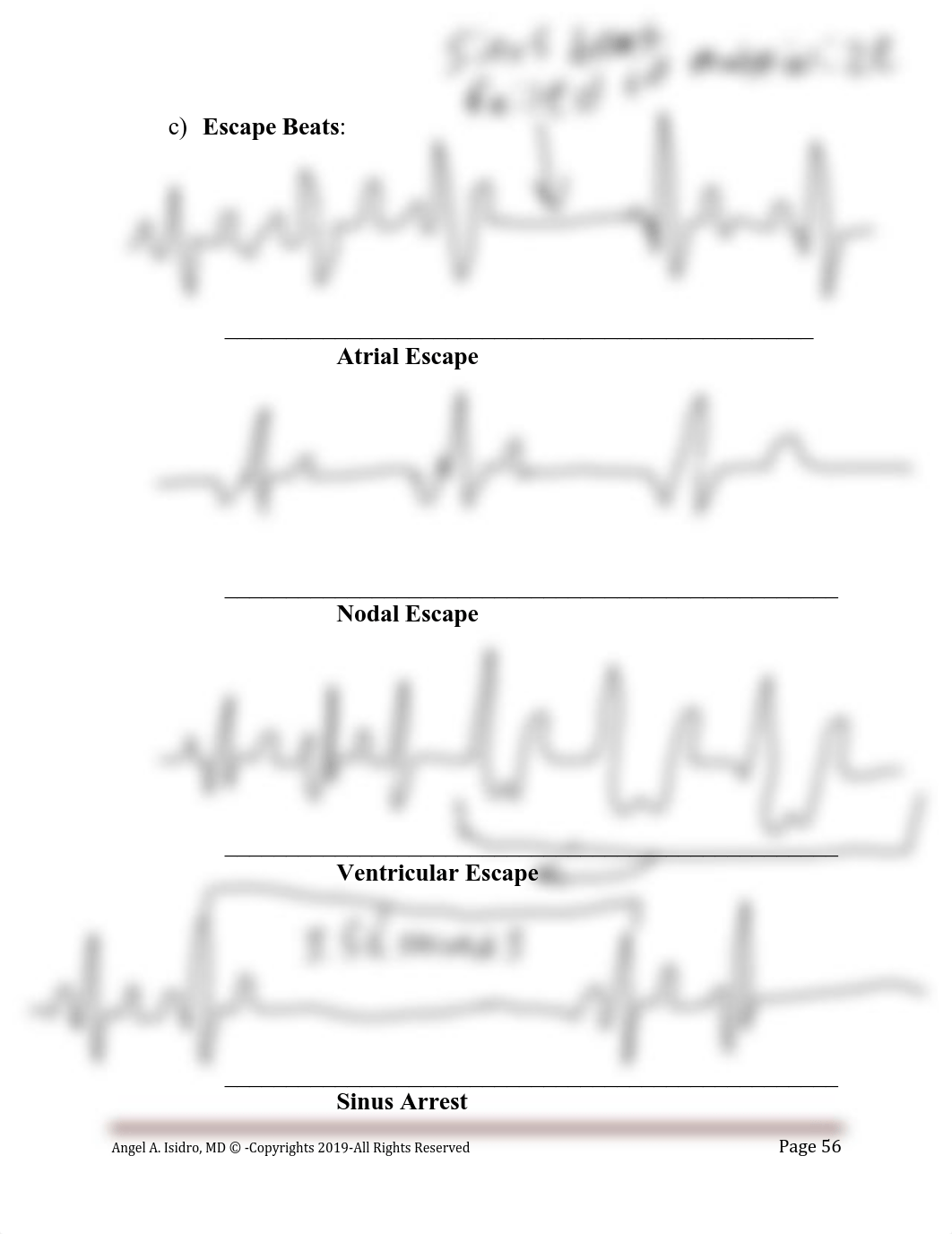 Cardiovascular_Physiology_MSMS_Handout-2019.pdf_d5kkq10uptr_page4