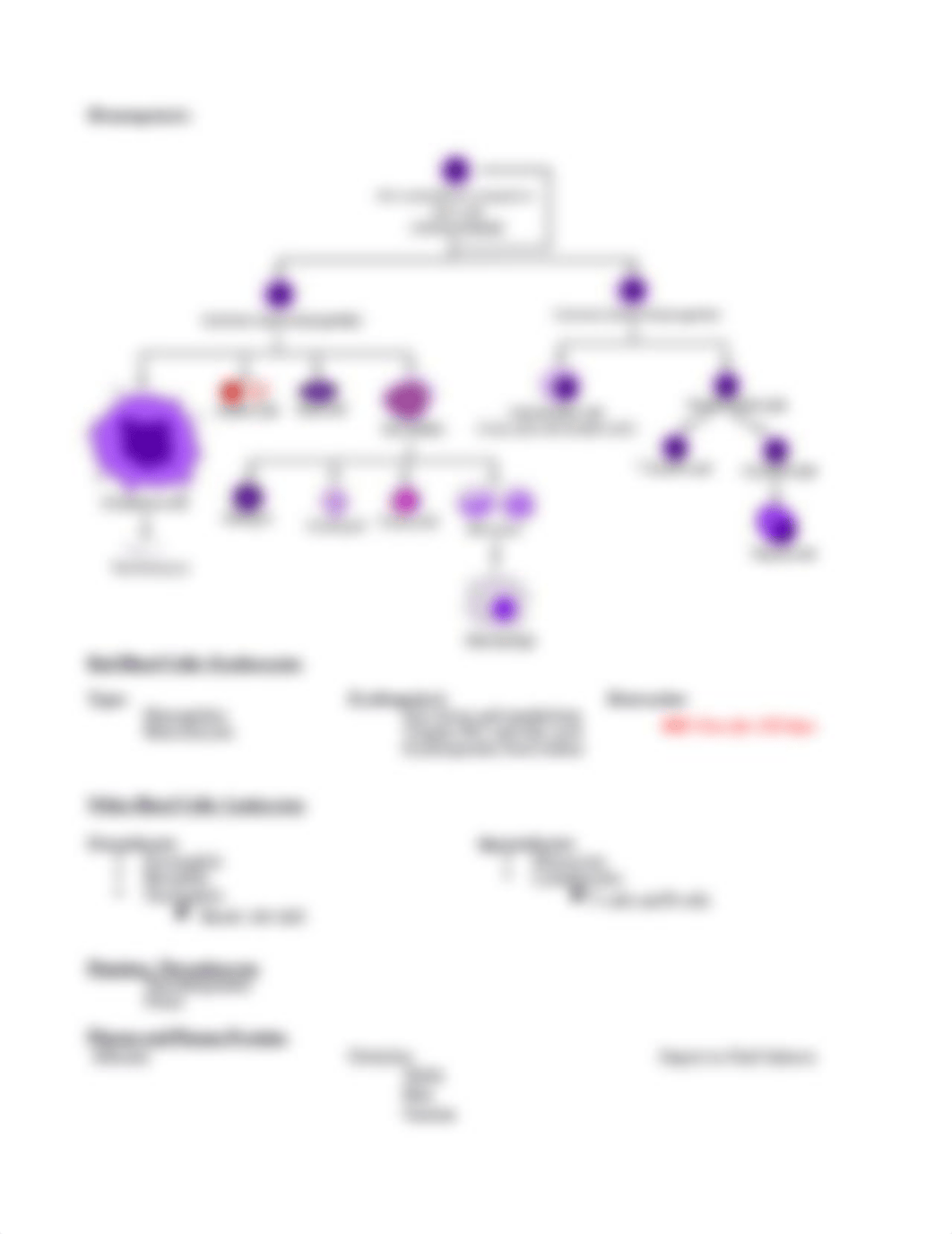 Chapter 32 Assessment of Hematologic Function and Treatment Modalities.docx_d5klc8pndc3_page3