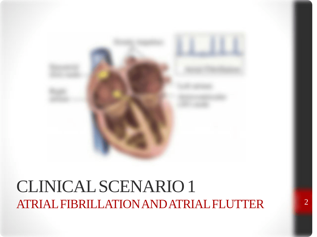 08. DMD 6020 Cardiovascular System Large Group 1 JB - 2018.pdf_d5kroijqeo8_page2