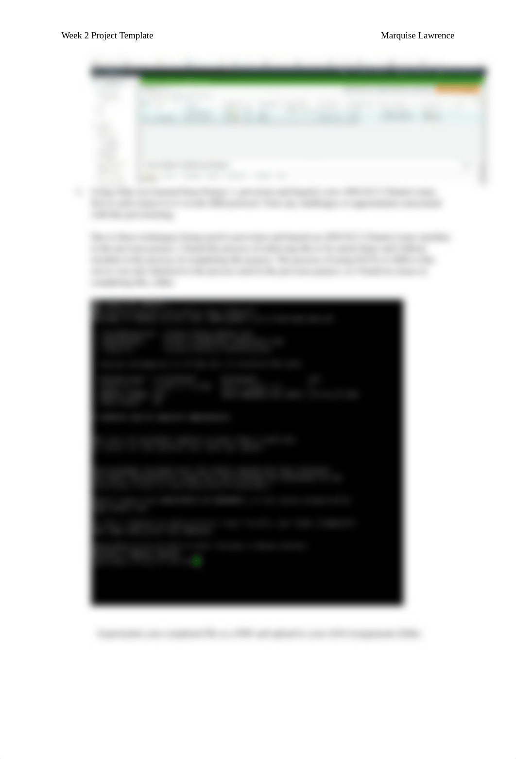 MarquiseLawrence_Project2.docx_d5kx0csrhwg_page2