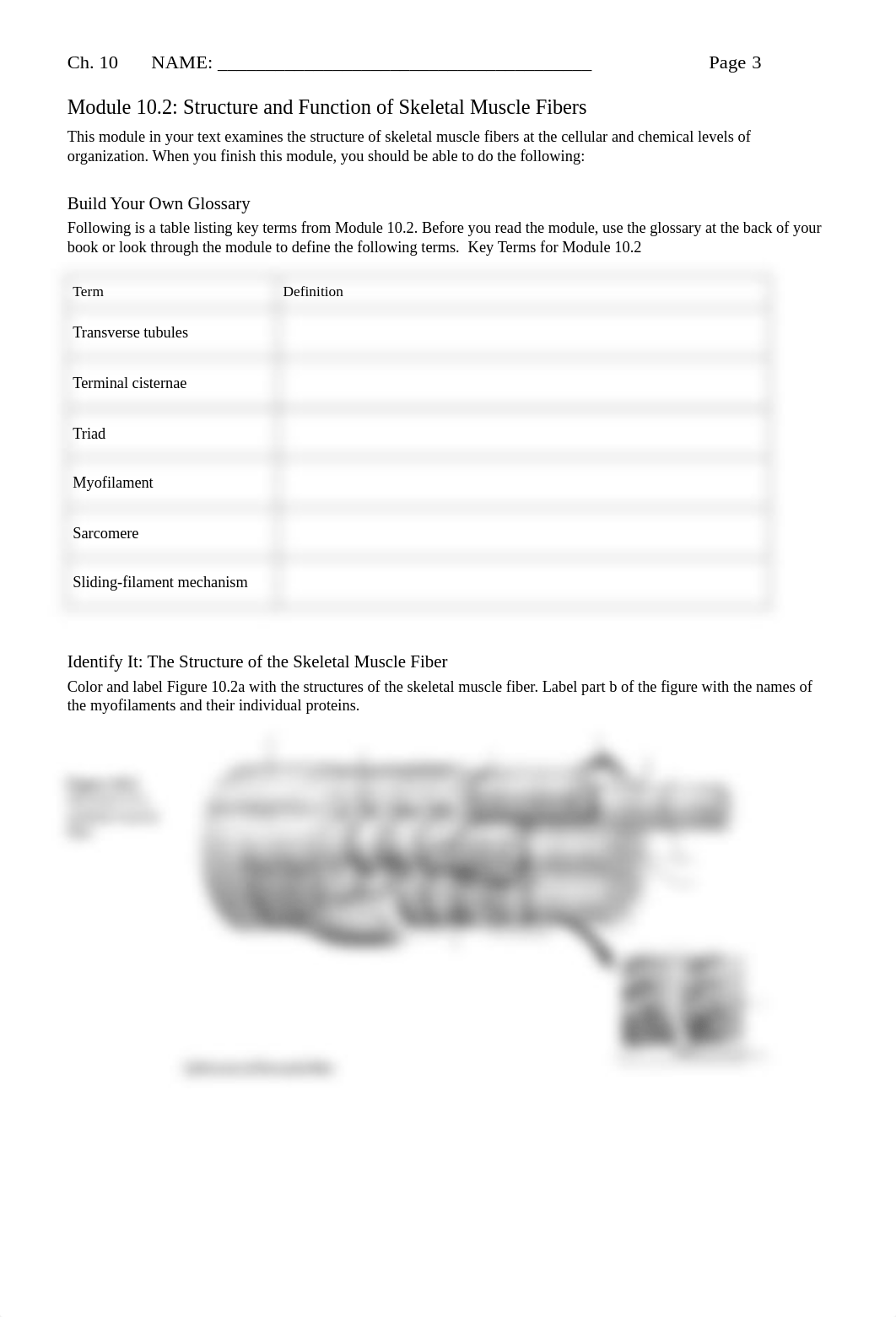 Chapter10_HW_MusclePhysiology.pdf_d5kz0z9vlv5_page3