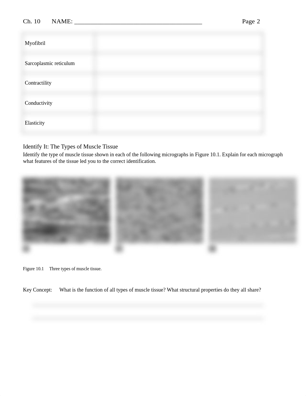 Chapter10_HW_MusclePhysiology.pdf_d5kz0z9vlv5_page2