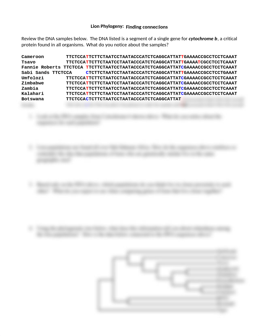 Lion Phylogeny Activity Cytochrome b.docx_d5l8iraafwv_page1