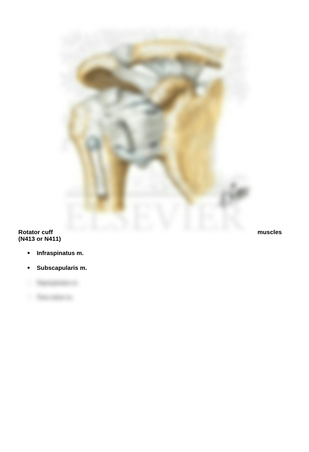 Checklist Lab #1 .docx_d5l92or01p1_page4