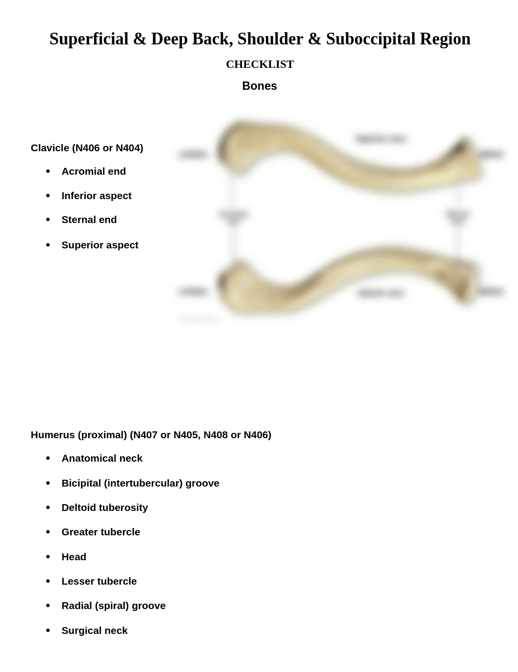 Checklist Lab #1 .docx_d5l92or01p1_page1