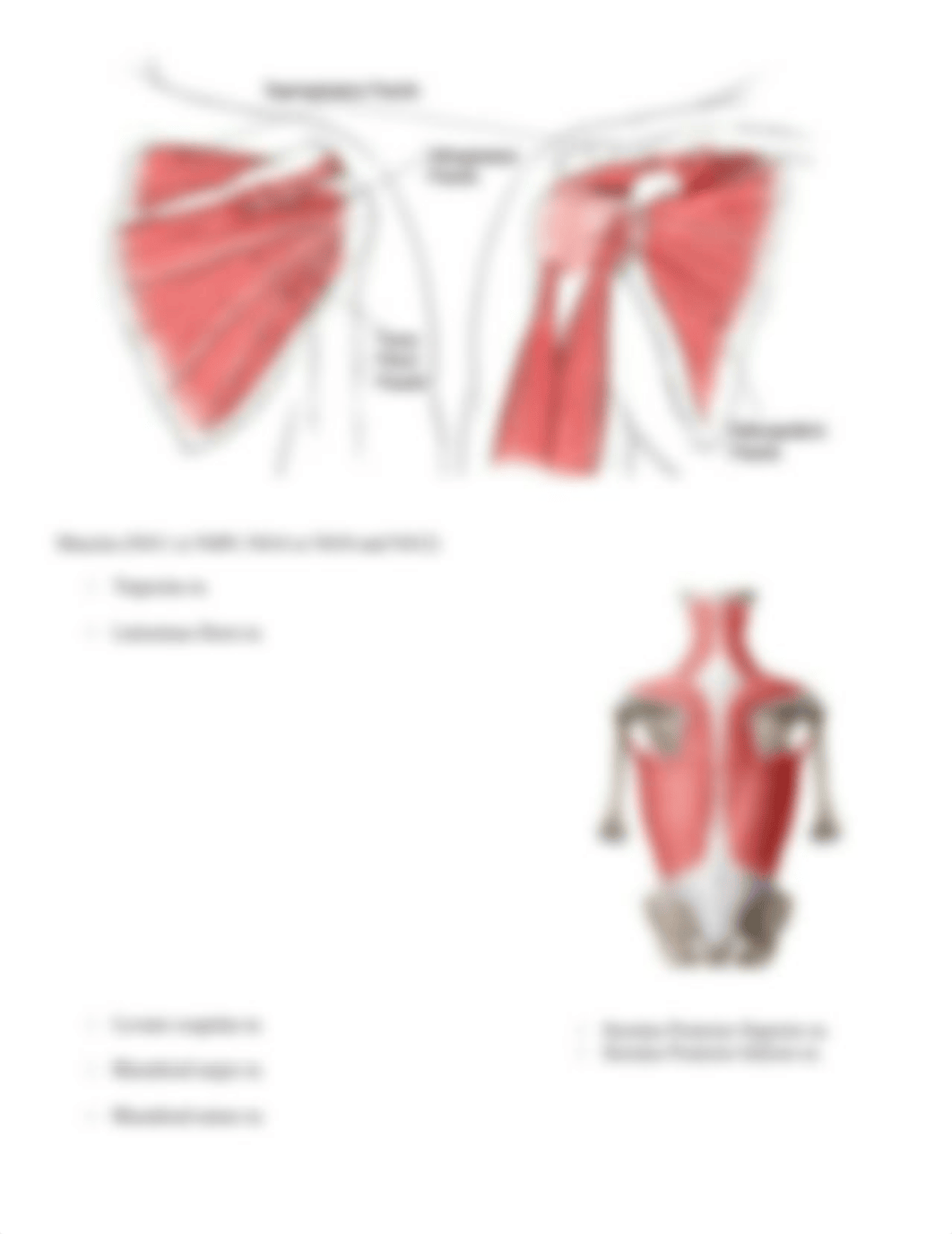 Checklist Lab #1 .docx_d5l92or01p1_page5