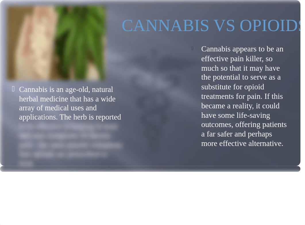 Presentation cannabis vs Opioids K.Mendoza (1).pptx_d5lhvafyjfs_page4