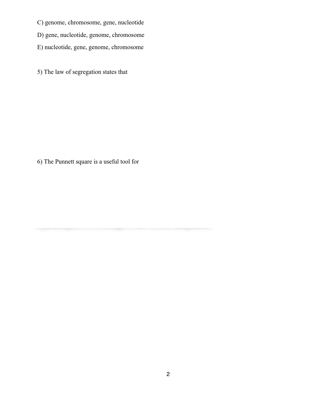 Test chapter 19.pdf_d5licmqpahl_page2