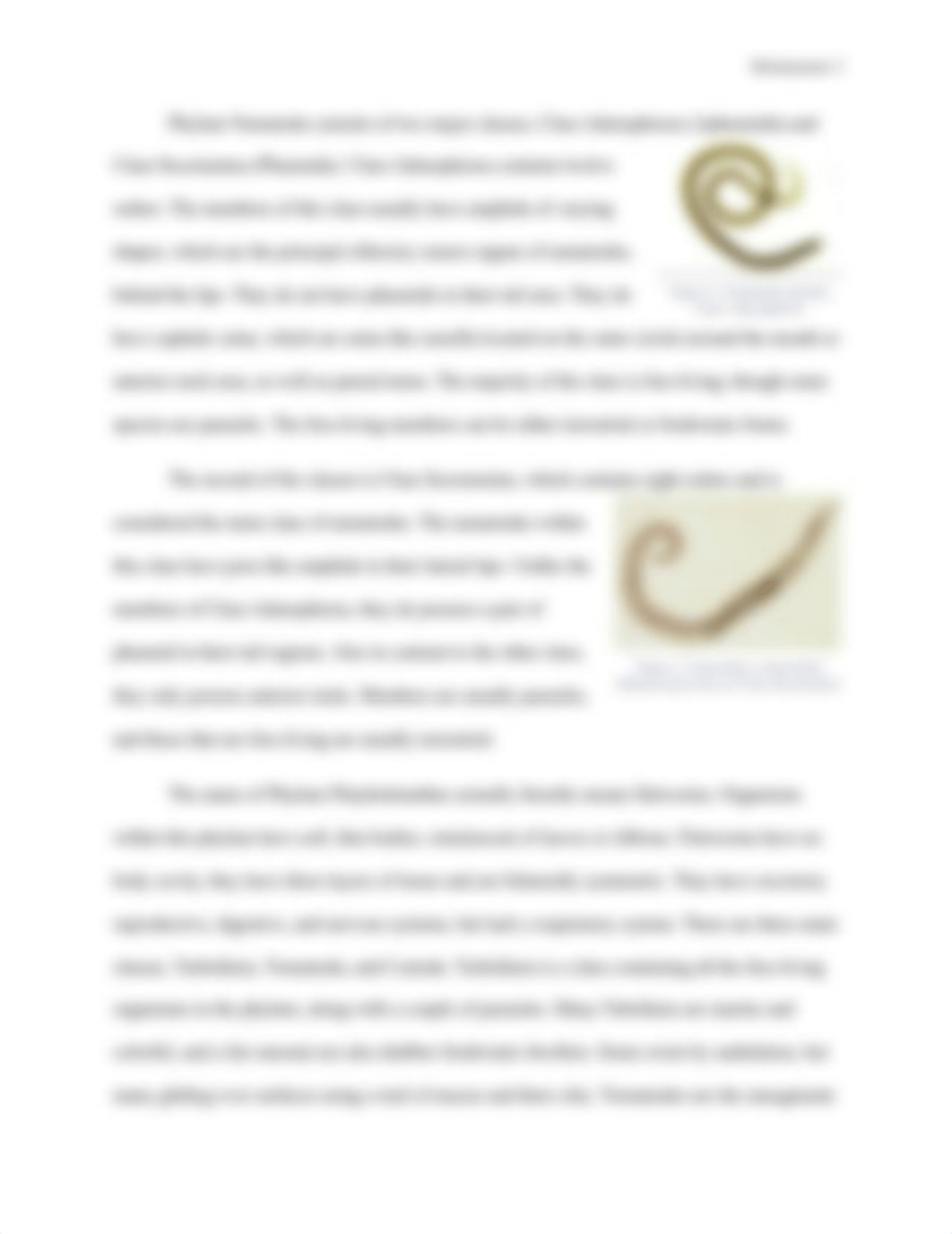 Nematodes Essay.docx_d5lly50tmpo_page3