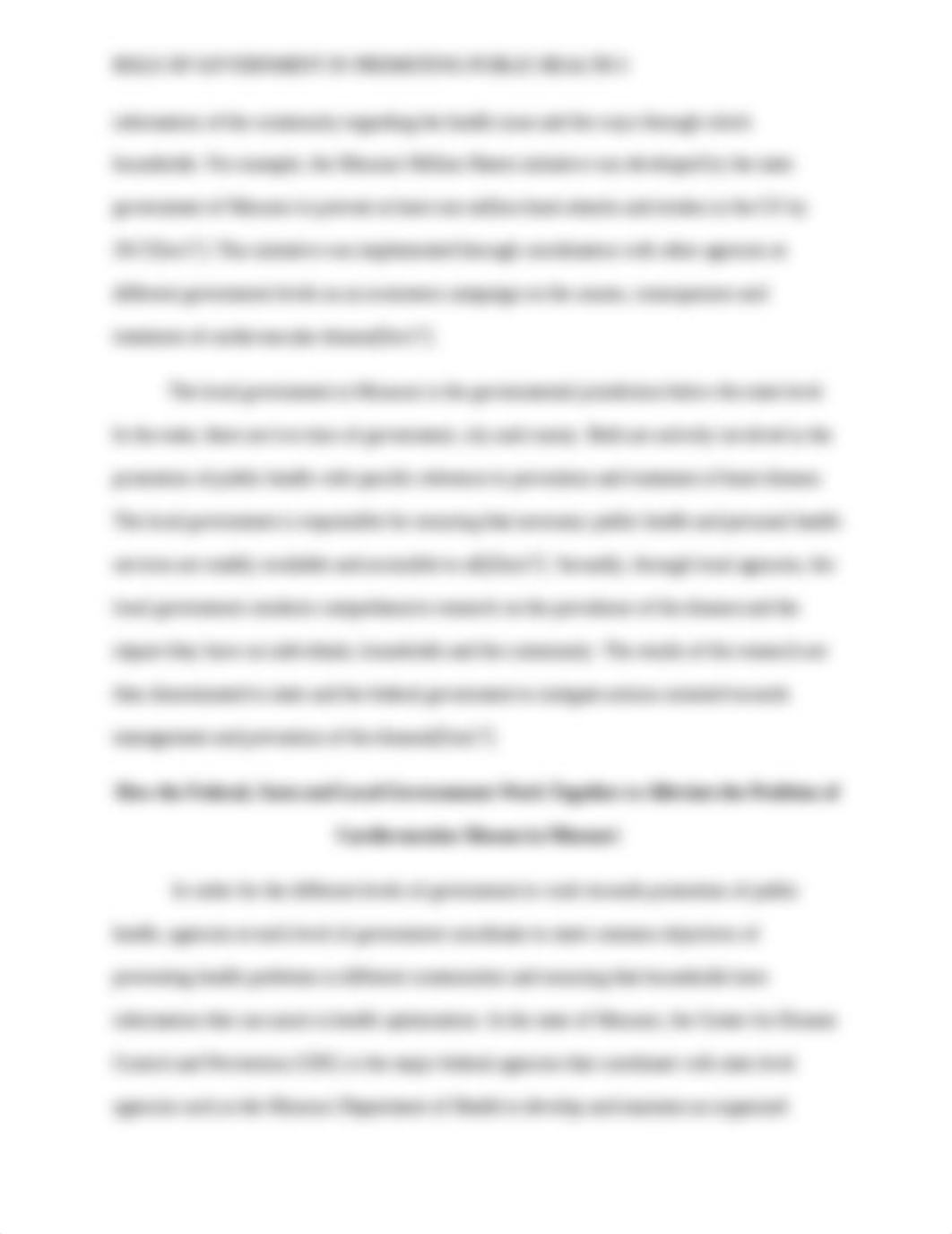 Role of Government in Promoting Public Health.docx_d5lnf7sybpw_page3