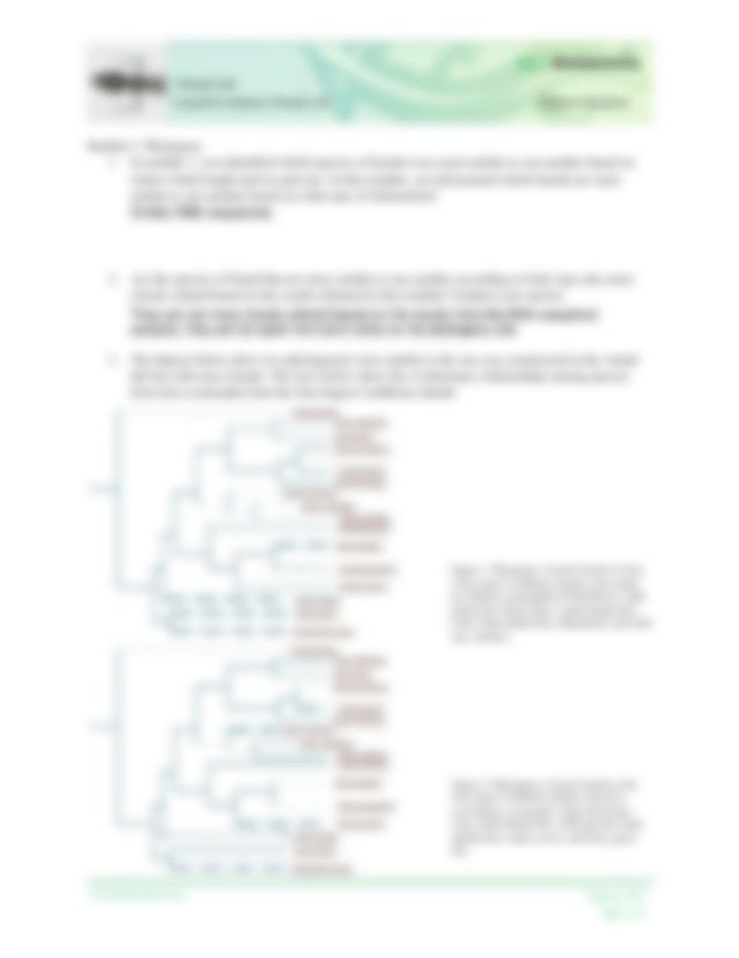 Lizard-Evolution-Virtual-Lab-Student-Worksheet.pdf_d5lq8wlfpxm_page2