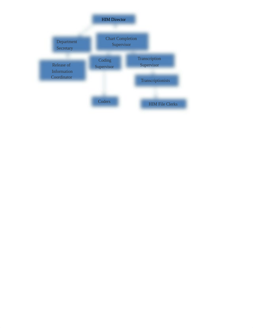 LP01 Assignment  HIM Organizational Chart.docx_d5lw2z10uf6_page1