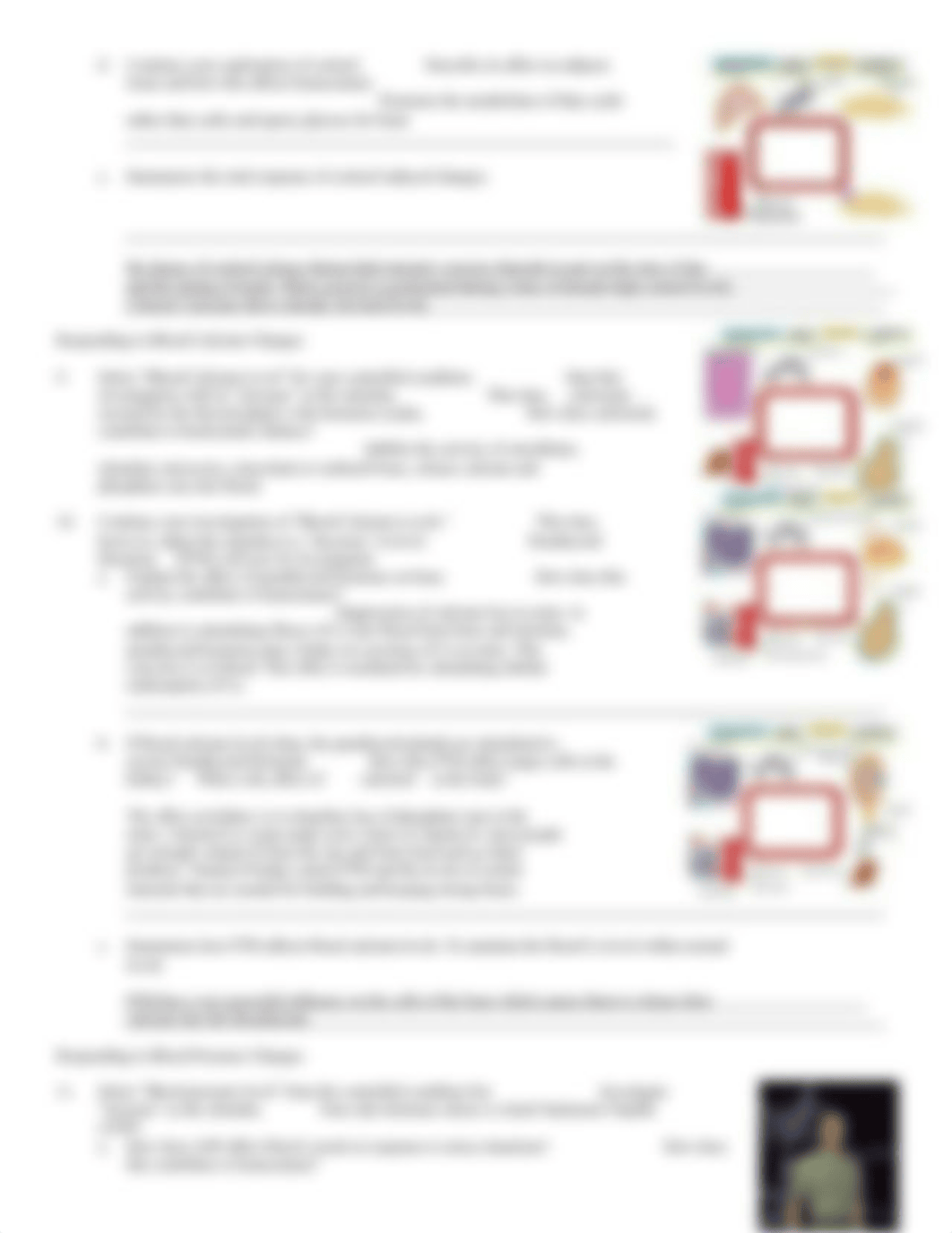 Hormone Cycles.doc_d5m5ybu7b4o_page3