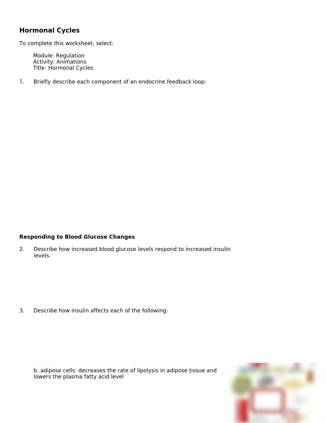 Hormone Cycles.doc_d5m5ybu7b4o_page1