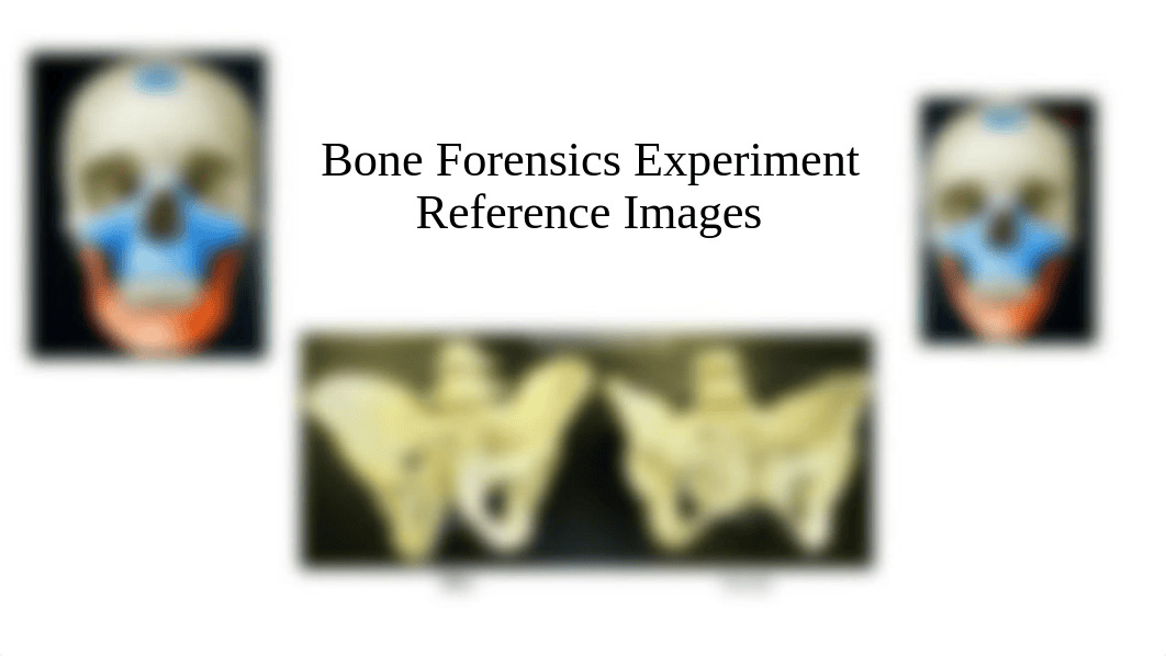 Bone Forensics References .pdf_d5md9cmatjm_page1