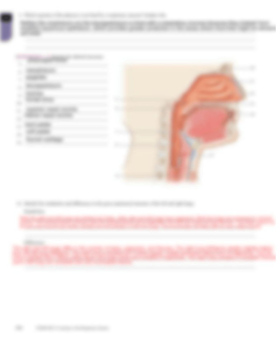 lab- review sheet EXERCISE 25 (1).pdf_d5mfb547j2m_page2