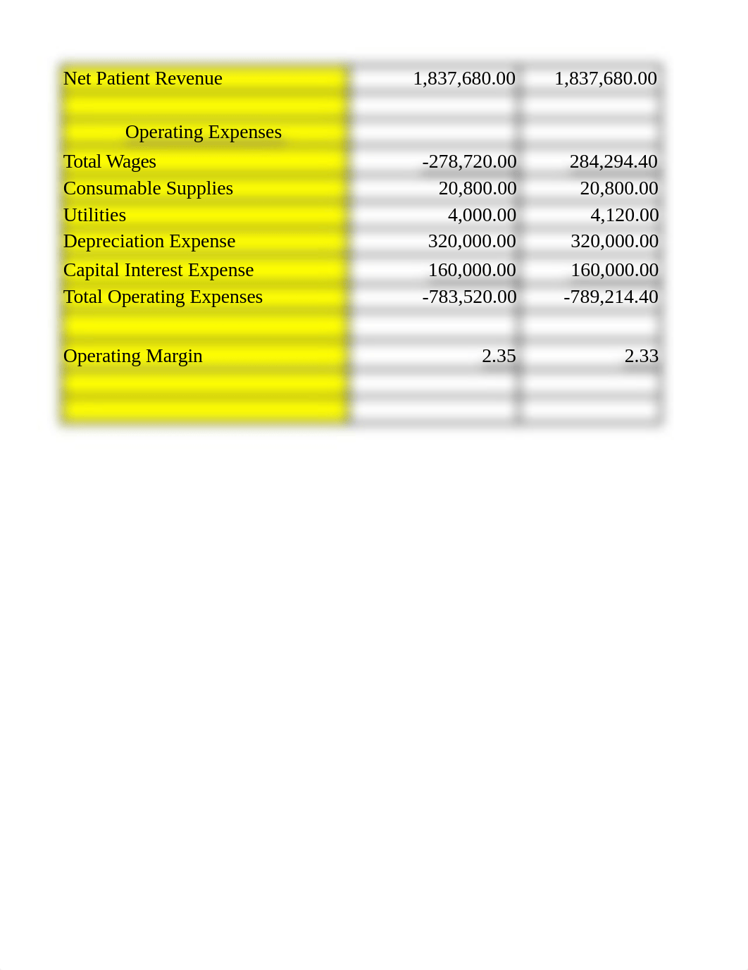 Case Study Template (5).xlsx_d5mhq71wptk_page3