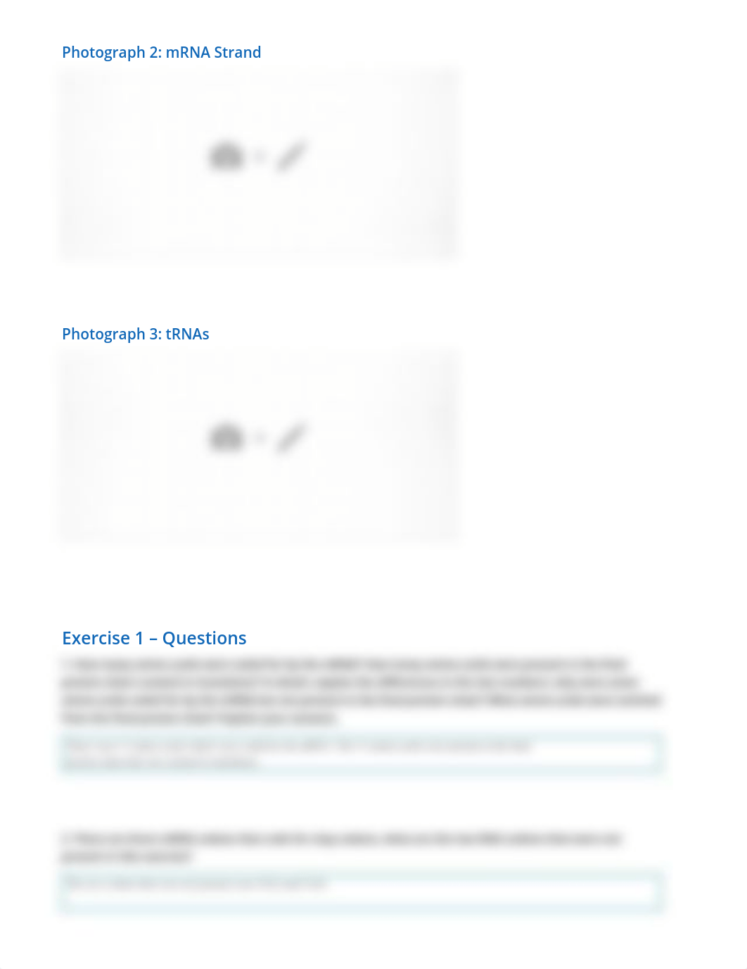 DNA RNA and Protein Synthesis - Experimentation report_d5mi7n5skf9_page2