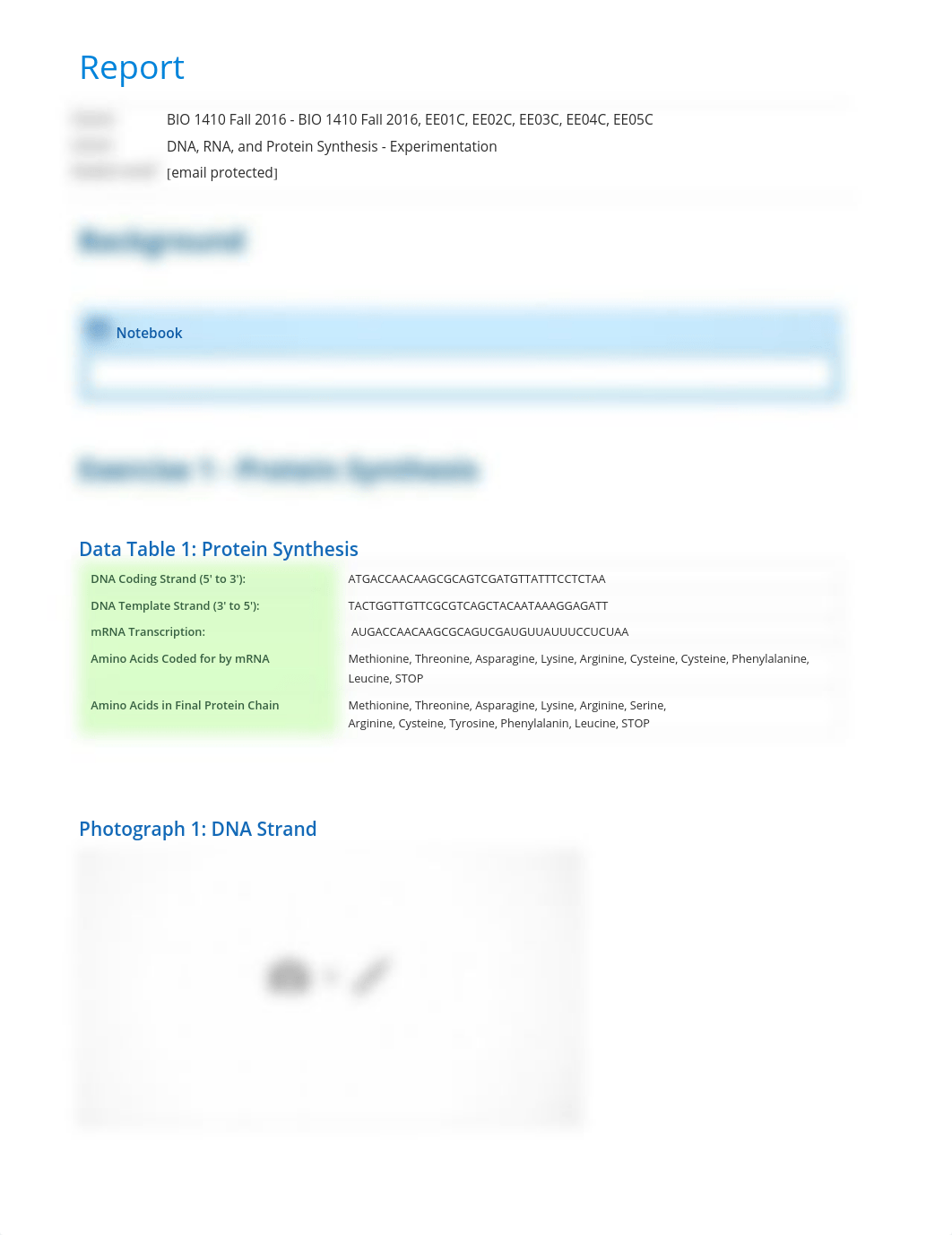 DNA RNA and Protein Synthesis - Experimentation report_d5mi7n5skf9_page1