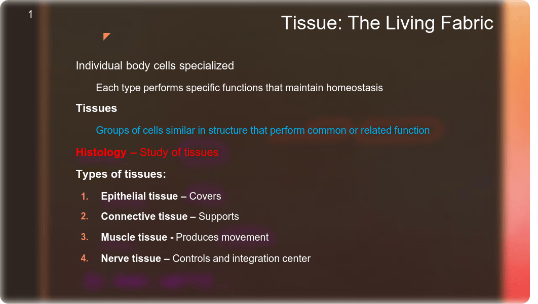 Lab_2_Epithelial_Tissues.pdf_d5moyybos8t_page2