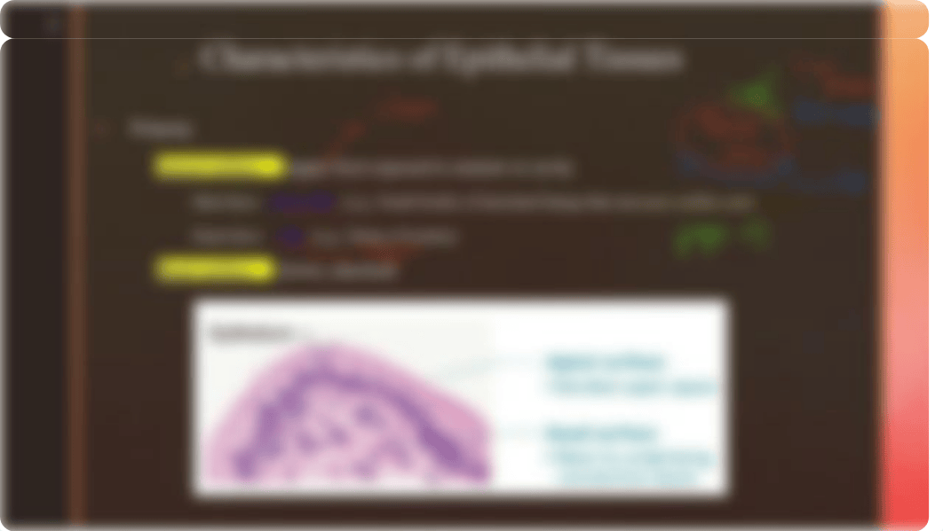 Lab_2_Epithelial_Tissues.pdf_d5moyybos8t_page4