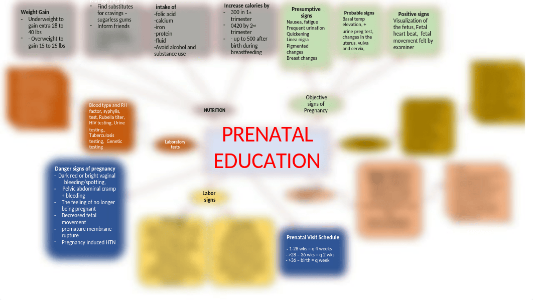 Prenatal Teaching concept map.pptx_d5myb75hvvn_page1