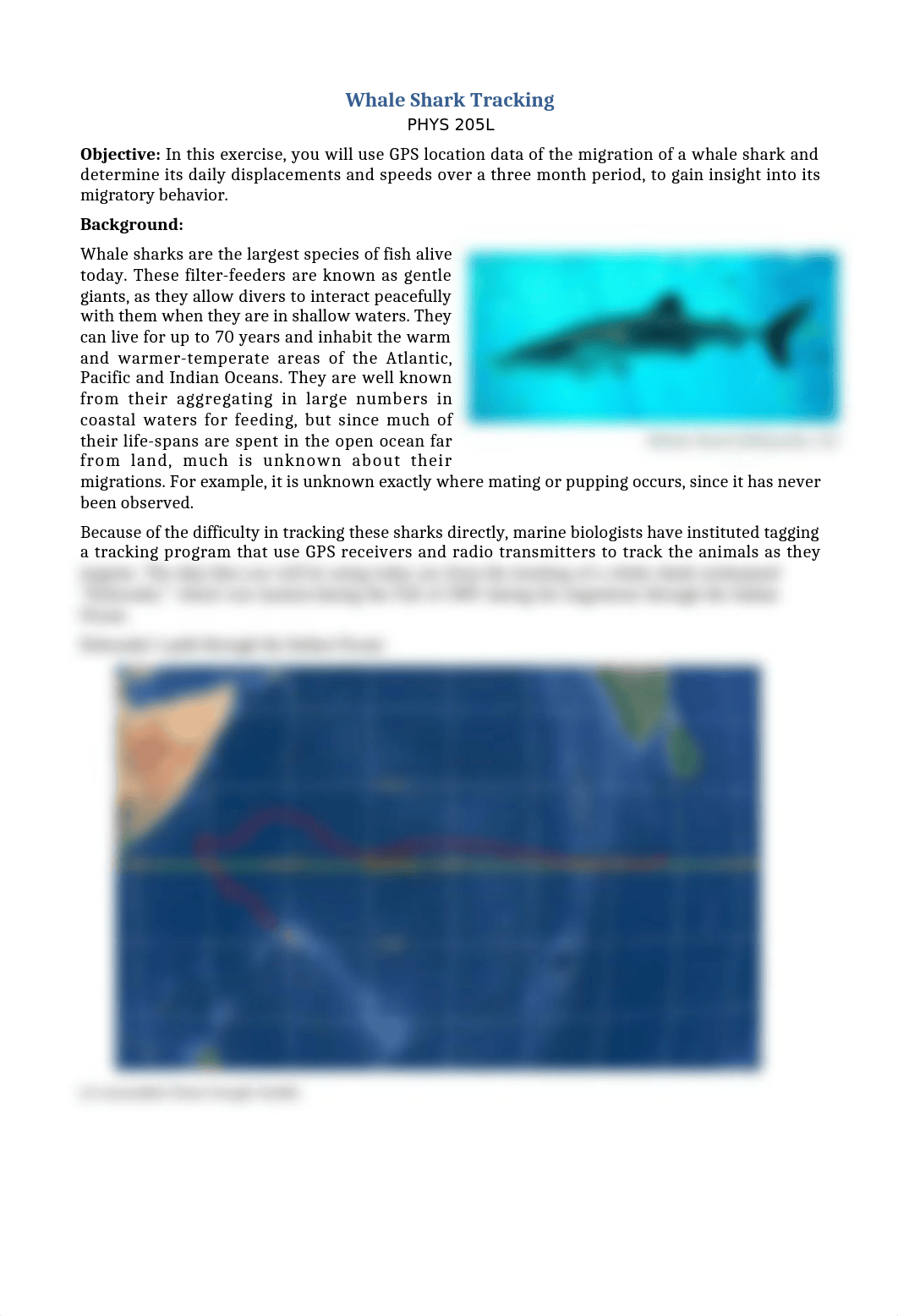 Whale Shark Migration.docx_d5mzzcplb67_page1