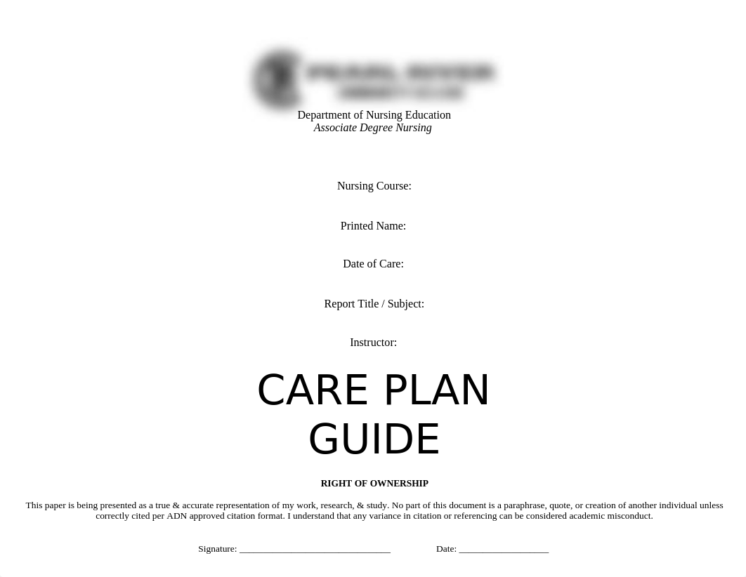 CarePlanGuiderevSp17-1 (2).docx_d5n25u2jgv0_page1